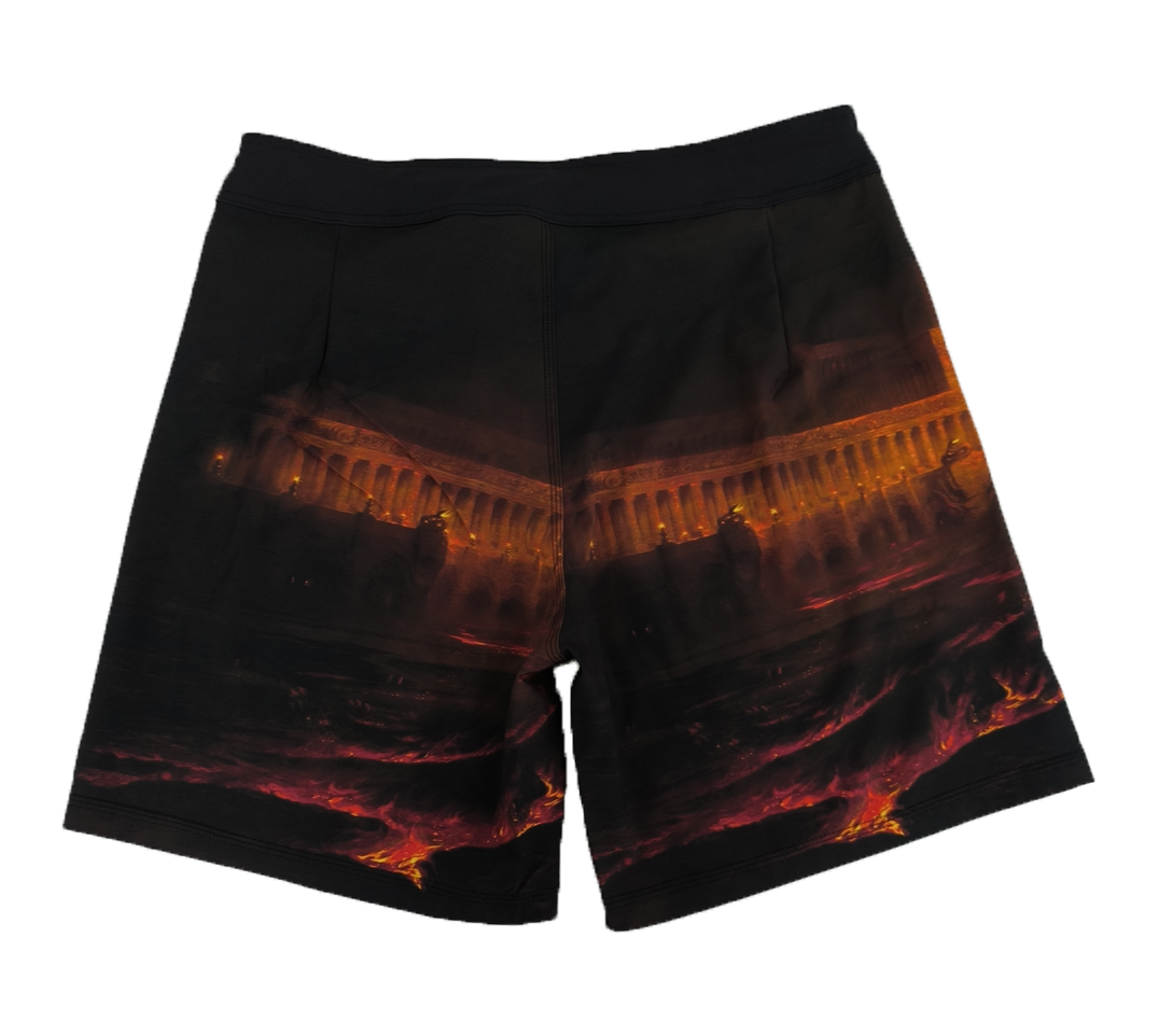 PANDAEMONIUM - BOARD SHORTS